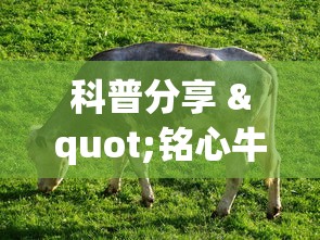 科普分享 "铭心牛牛有挂吗”有挂详细开挂教程