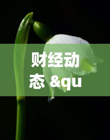 财经动态 "微壳三打哈可以开挂吗”(透视)其实真的有挂