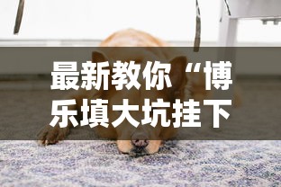 最新教你“博乐填大坑挂下载	”详细开挂安装教程
